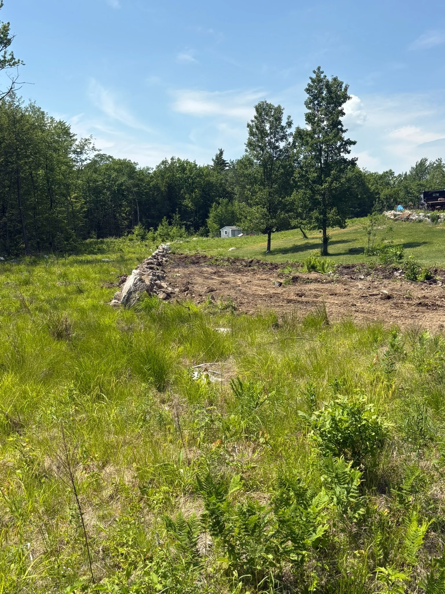Forestry Mulching by Ridge Cut Land Services